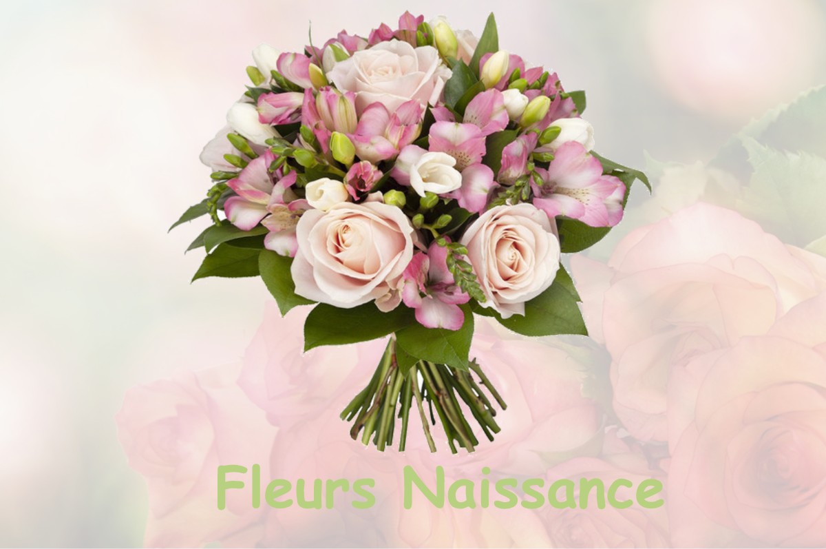 fleurs naissance NIZAN-GESSE