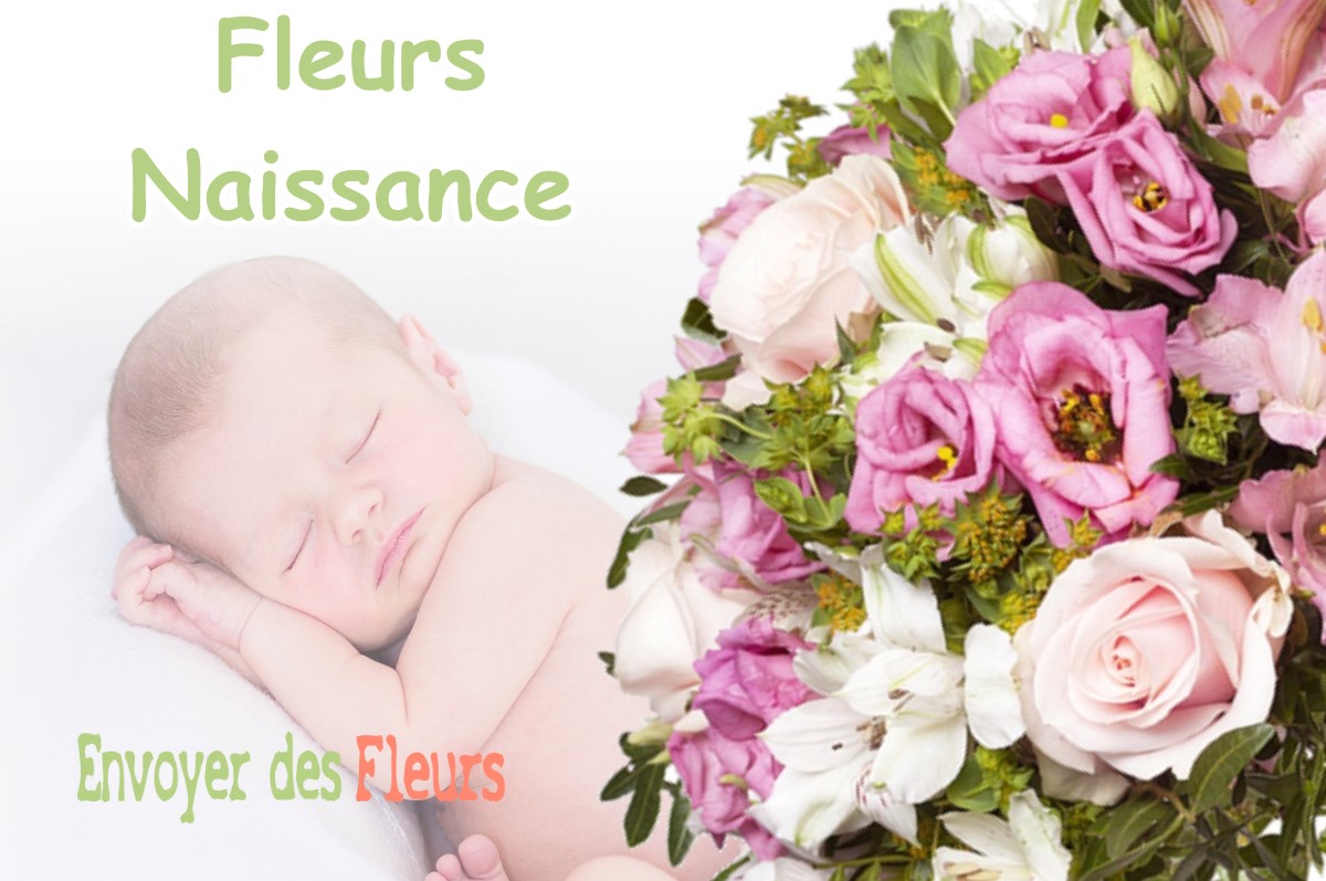 lIVRAISON FLEURS NAISSANCE à NIZAN-GESSE